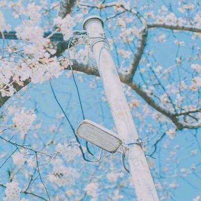 画骨奇缘手游(暂未上线)v1.0 安卓版